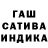 Каннабис индика Moiz Moosajee
