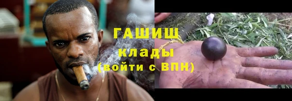 хмурый Арсеньев