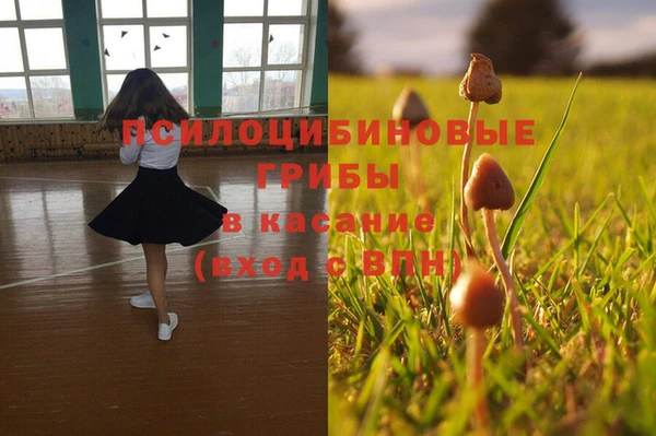 mix Армянск