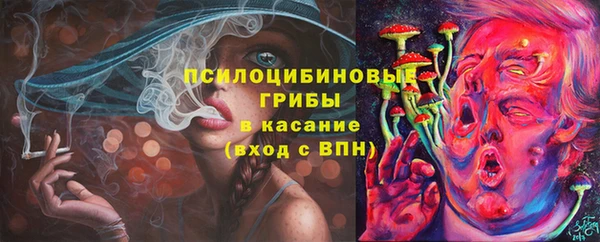 хмурый Арсеньев