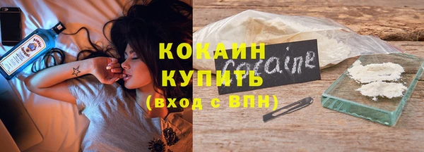 хмурый Арсеньев