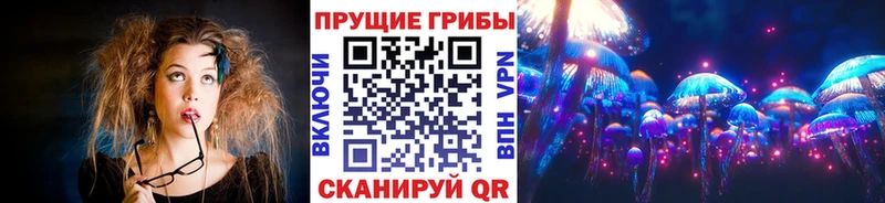 Галлюциногенные грибы MAGIC MUSHROOMS  купить наркотик  Соль-Илецк 